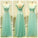 Mint Lace Cap Sleeve Sweetheart Lace up A-Line Tulle Green Floor-Length Prom Dresses WK57