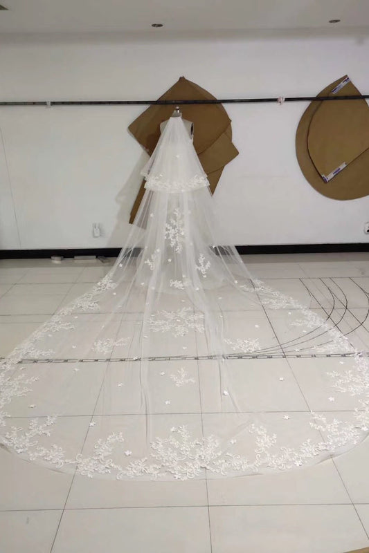 3M Long Embroidered Lace Appliques Tulle Cathedral Veil for Wedding, Wedding Veils SWK14988
